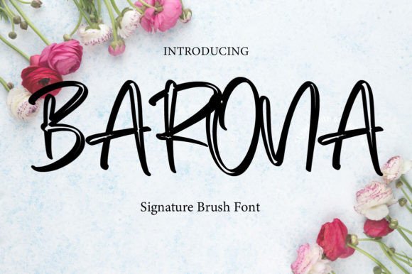 The Barona Font: A Designer's Choice for Casual Web Appeal