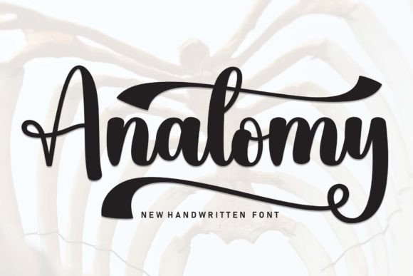 The Role of Anatomy Font in Modern Editorial Design